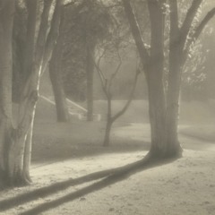 frost