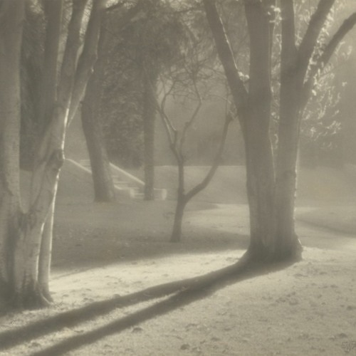 frost