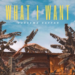 Oussema Saffar - What I Want (Original Mix)