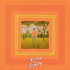 Tati Falco - Syncro