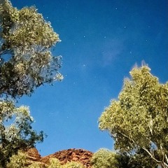 GROUNDED 2025 Ether/Stillness PM