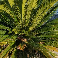 Саммертайм