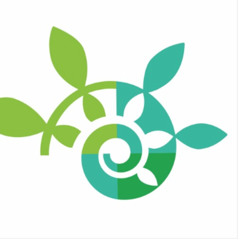 Complexité et systèmes apprenants en santé et services sociaux: mise en perspective et discussions