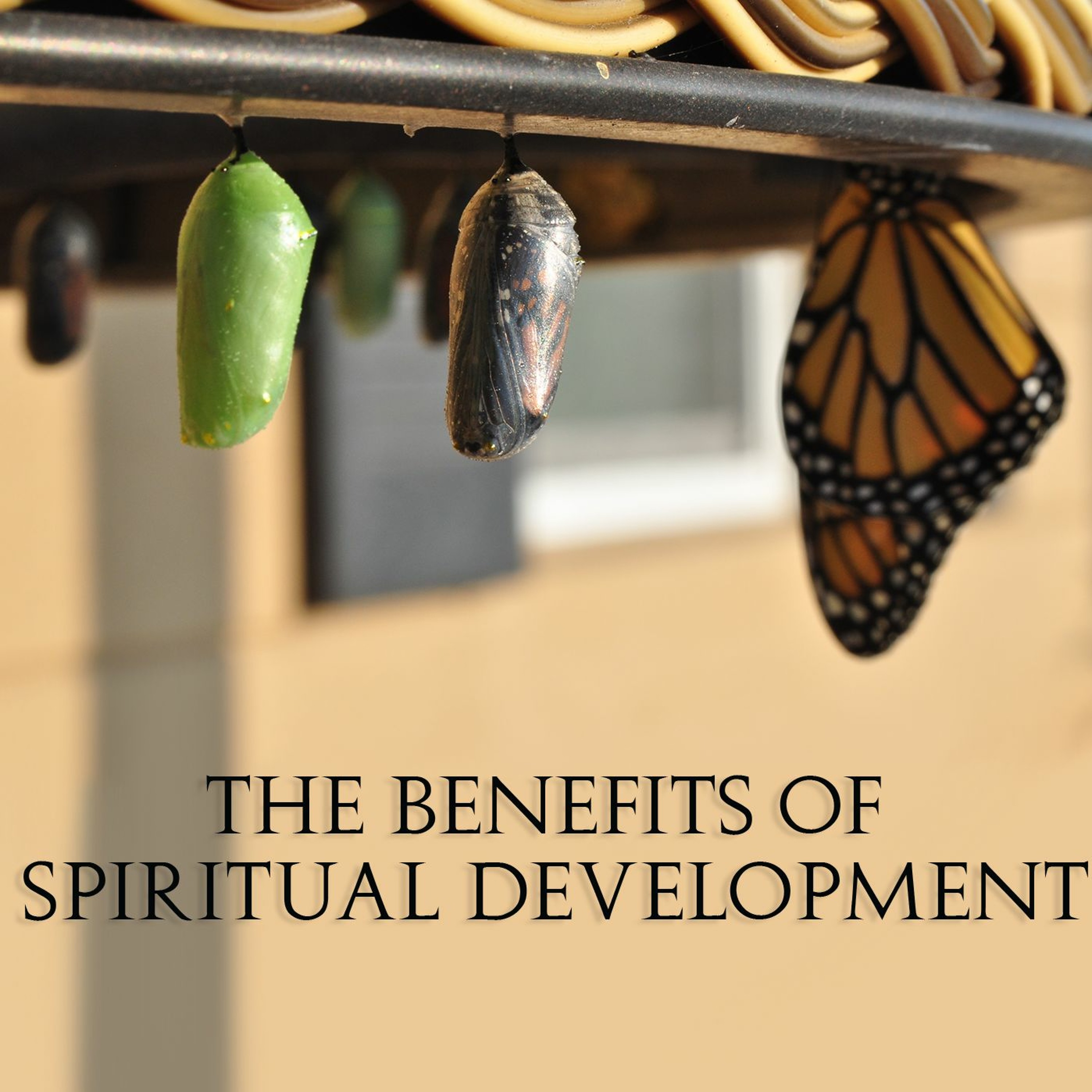 The Benefits of Spiritual Development episode artwork