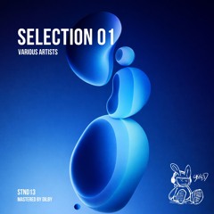 Thys N' Green - Voices (Original Mix)