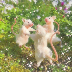 『ネズミ』Rat ~ Penelope Scott