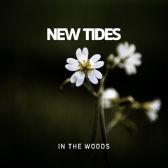 In the Woods