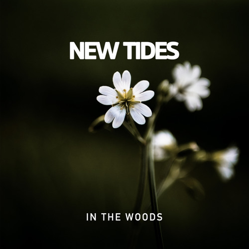 In the Woods