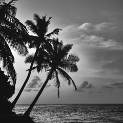 Dave Howell (Music For Beaches)
