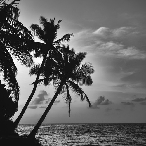 Dave Howell (Music For Beaches)