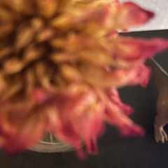 Lailaps & Byim - I know what I saw