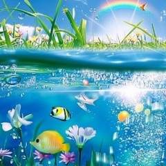 summer time (feat. Rowann)