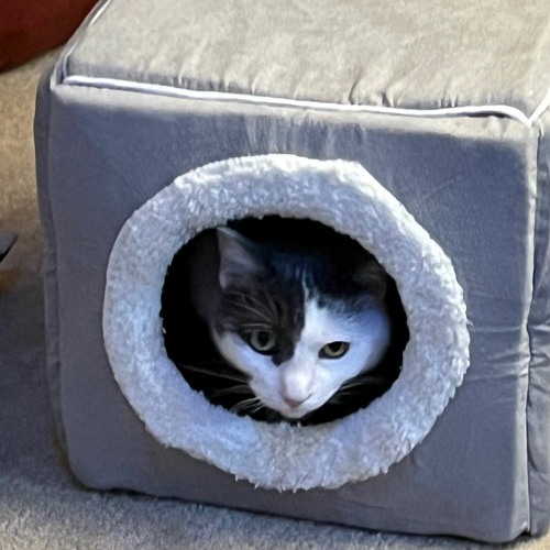 microwave - keeping up (cover)