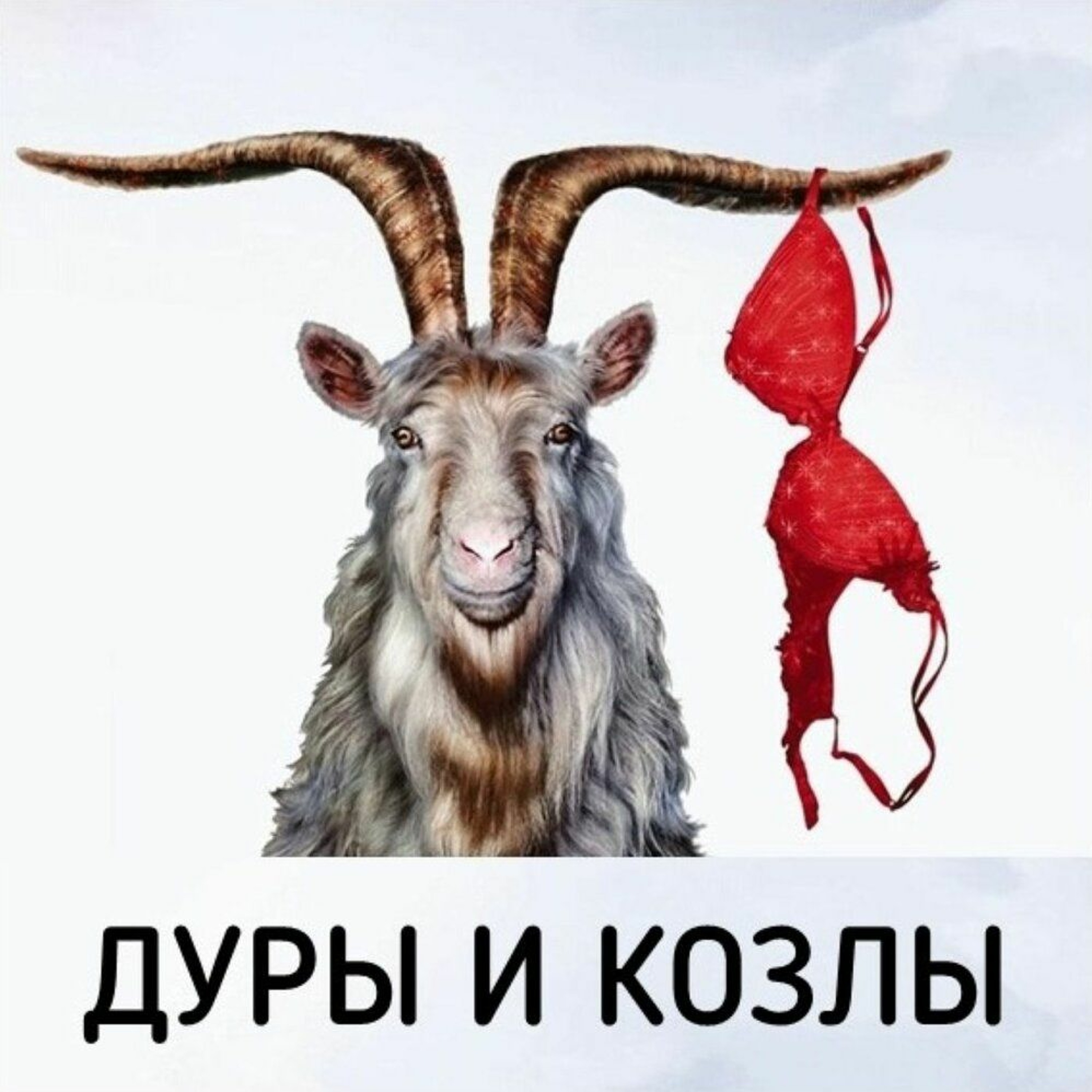 Выпуск 20 Если Меня Обесценивают