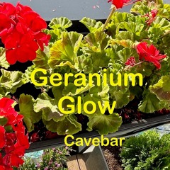 Geranium Glow