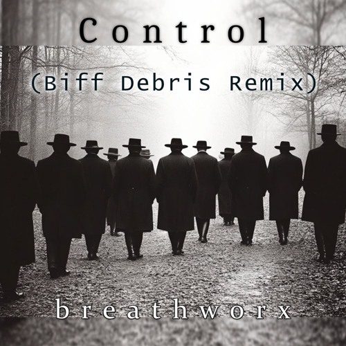 Control (Biff Debris Remix)