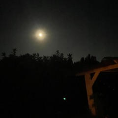 Waiting on The Moon