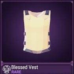 BlessedVest