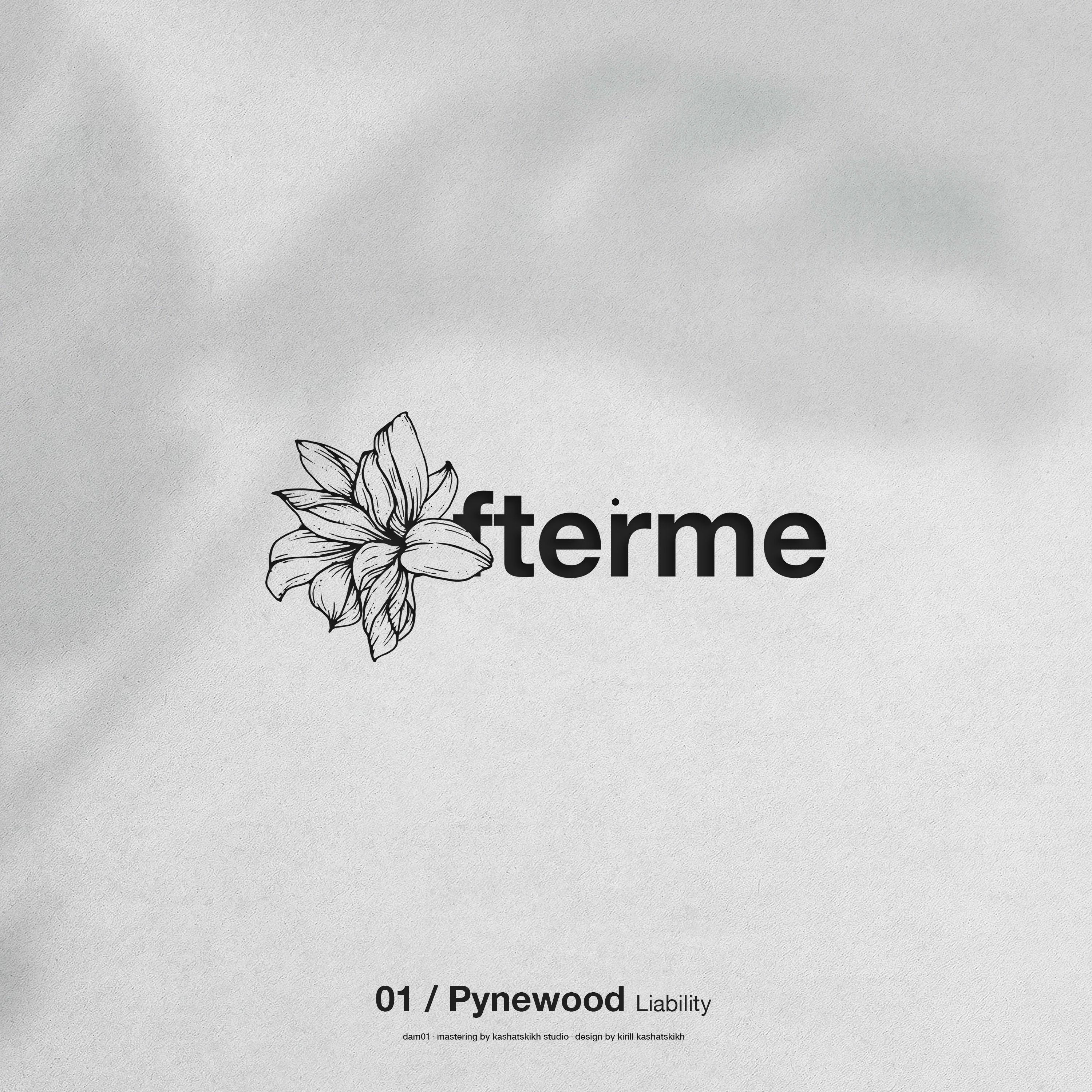 Pynewood - Liability (Original Mix) episode artwork