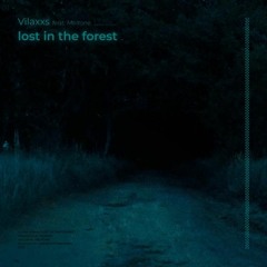 lost in the forest (feat. Meltone)
