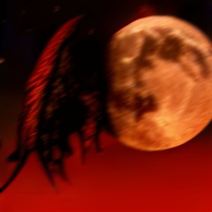 My Dark Wings Fly Ever Higher