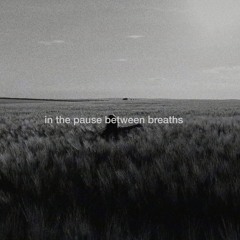 the pause between breaths