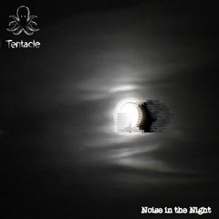 Noise In The Night