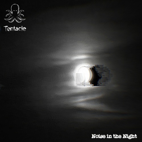 Noise In The Night