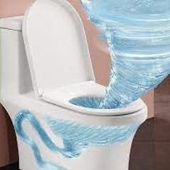 SFX-toilet flushing sound