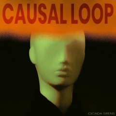 Causal Loop