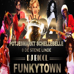 DJ BIOOL - FUNKYTOWN @ DE STENE LINDE (Potjesmarkt)
