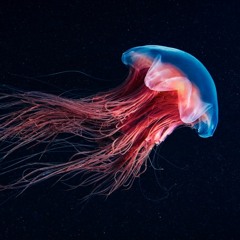 DJ Hypnoid - A Change Is Gonna Come Mix (Tribute to Paul Johnson)