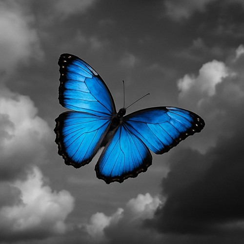 Euphoria [Instrumental]