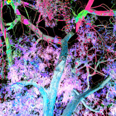 Extract from "Symphony 0" - Guitar