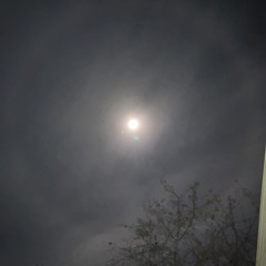 Autumnal Snowfall: Ceiling of Stars, Lamp of Moon, Blanket of Clouds