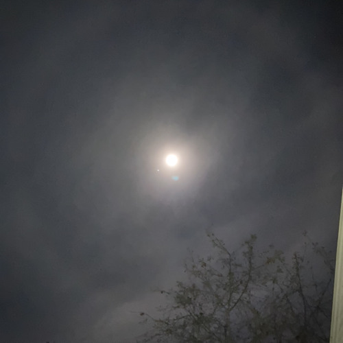 Autumnal Snowfall: Ceiling of Stars, Lamp of Moon, Blanket of Clouds