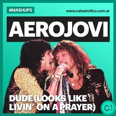 Aerojovi - Dude (Looks Like Livin' on a Prayer)