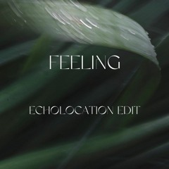 Feeling - Keinemusik (Echolocation Edit)