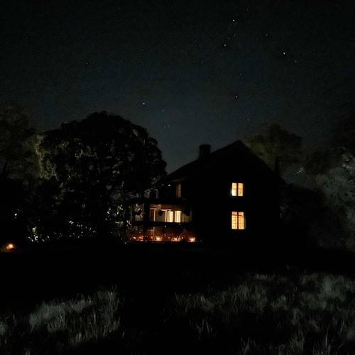 Bird on a wire.m4a ( Leonard Cohen )