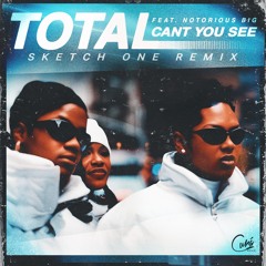 CANT YOU SEE (SKETCH ONE REMIX)