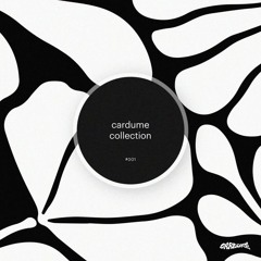 Seed Selector - Txutxuca (Original Mix) [Cardume Records]