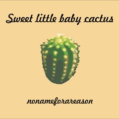sweet little baby cactus