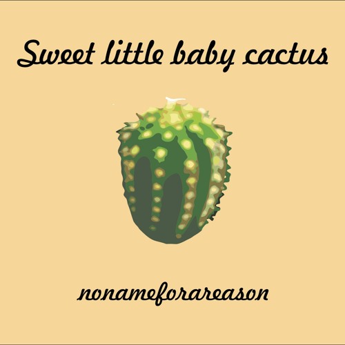sweet little baby cactus