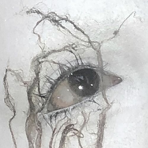 leaves withering within the fold, into the fog nevermore