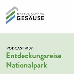 Podcast #107 - Forschung, Eine Entdeckungsreise Durch Den NPG