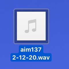 aim137 2-12-20