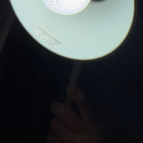 Arçon de Nièze & Senglar - Agallas