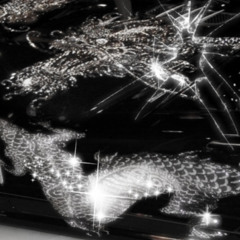 NOIR. (prod.Sobonio)