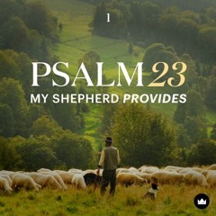 Psalm 23: My Shepherd Provides - Part 1
