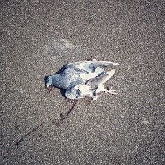 Don't Fear the Reaper